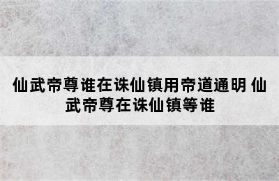 仙武帝尊谁在诛仙镇用帝道通明 仙武帝尊在诛仙镇等谁